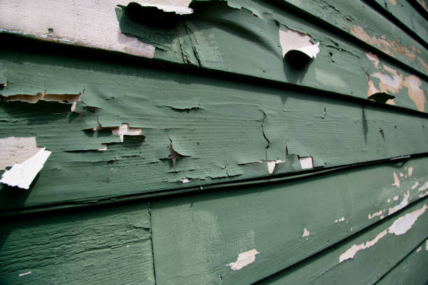 Best Siding Replacement  in Morgandale, OH